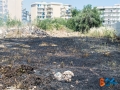 incendio via padre kolbe-6