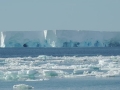 Iceberg 1 res[1398]