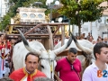 Processione-santi-carro-buoi-18