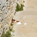 Spiaggia “La Testa”, la rampa d’accesso trasformata in un bagno pubblico / FOTO