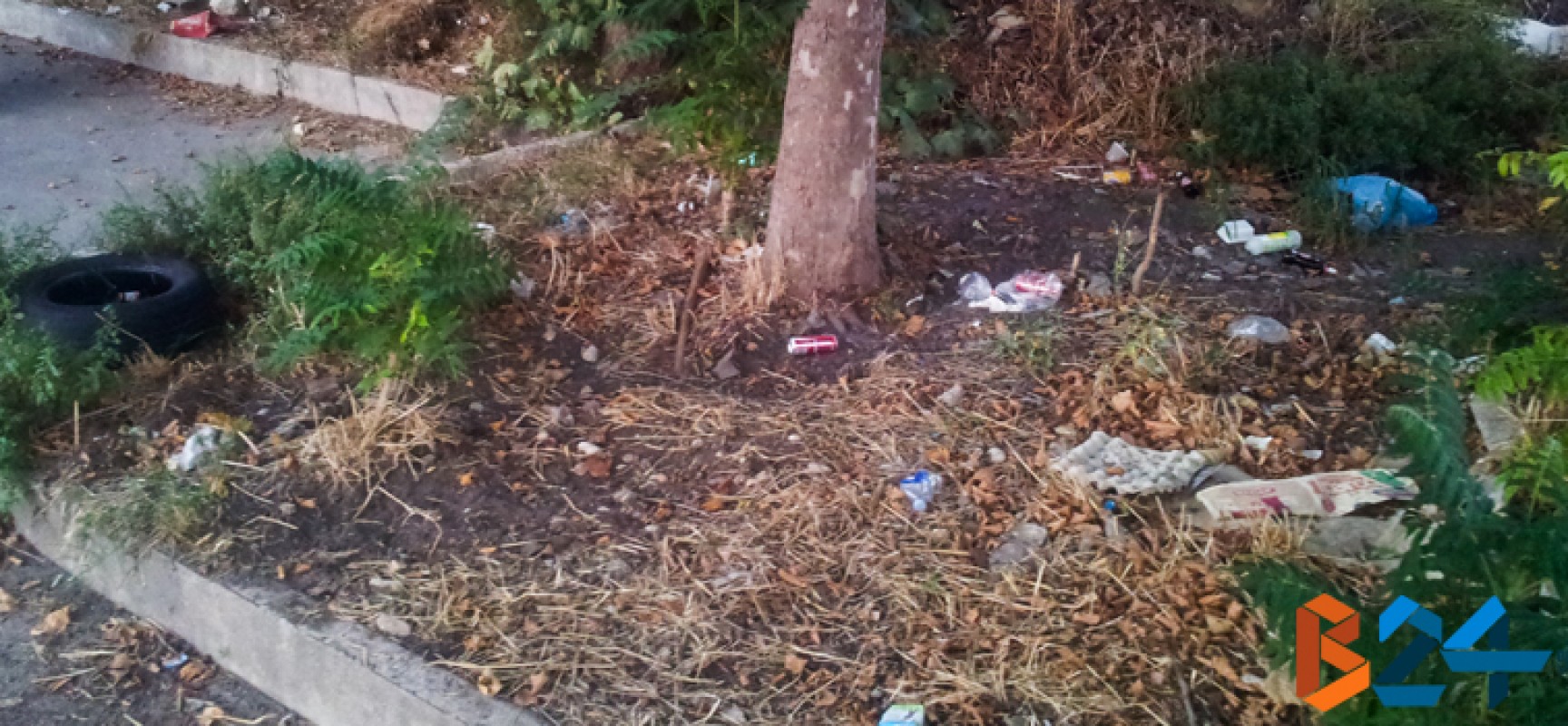 Via Santa Chiara d’Assisi abbandonata tra rifiuti e incuria / FOTO