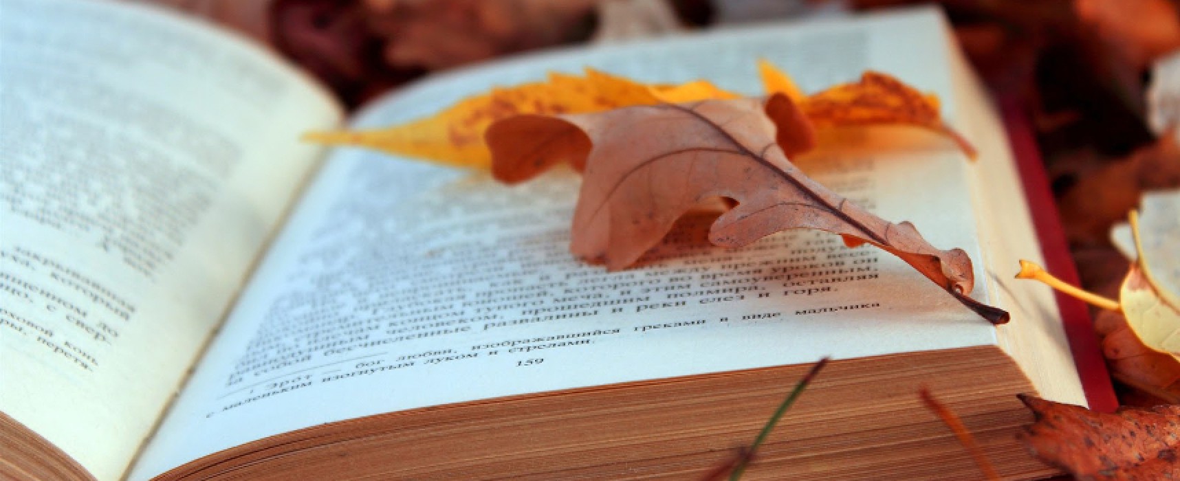 “Autumn in Blues”, autunno, libri e degustazioni: l’affascinante ricetta di “Made in Blu” / PROGRAMMA