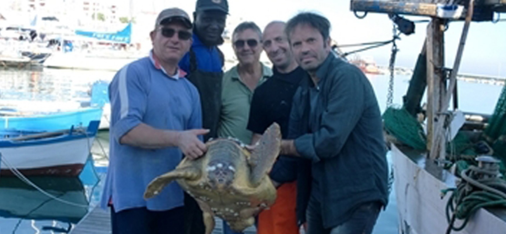 Due pescatori biscegliesi salvano la vita ad una tartaruga marina