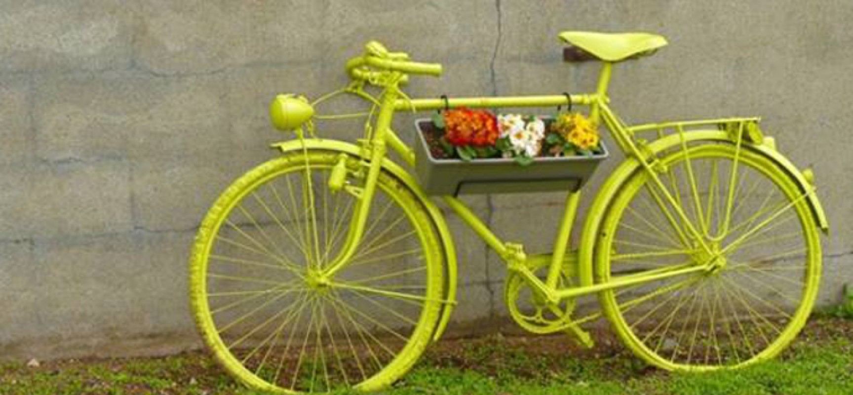 Domenica 14 dicembre “Biciclette verde olive”, il ciclotour di Biciliae FIAB con degustazione
