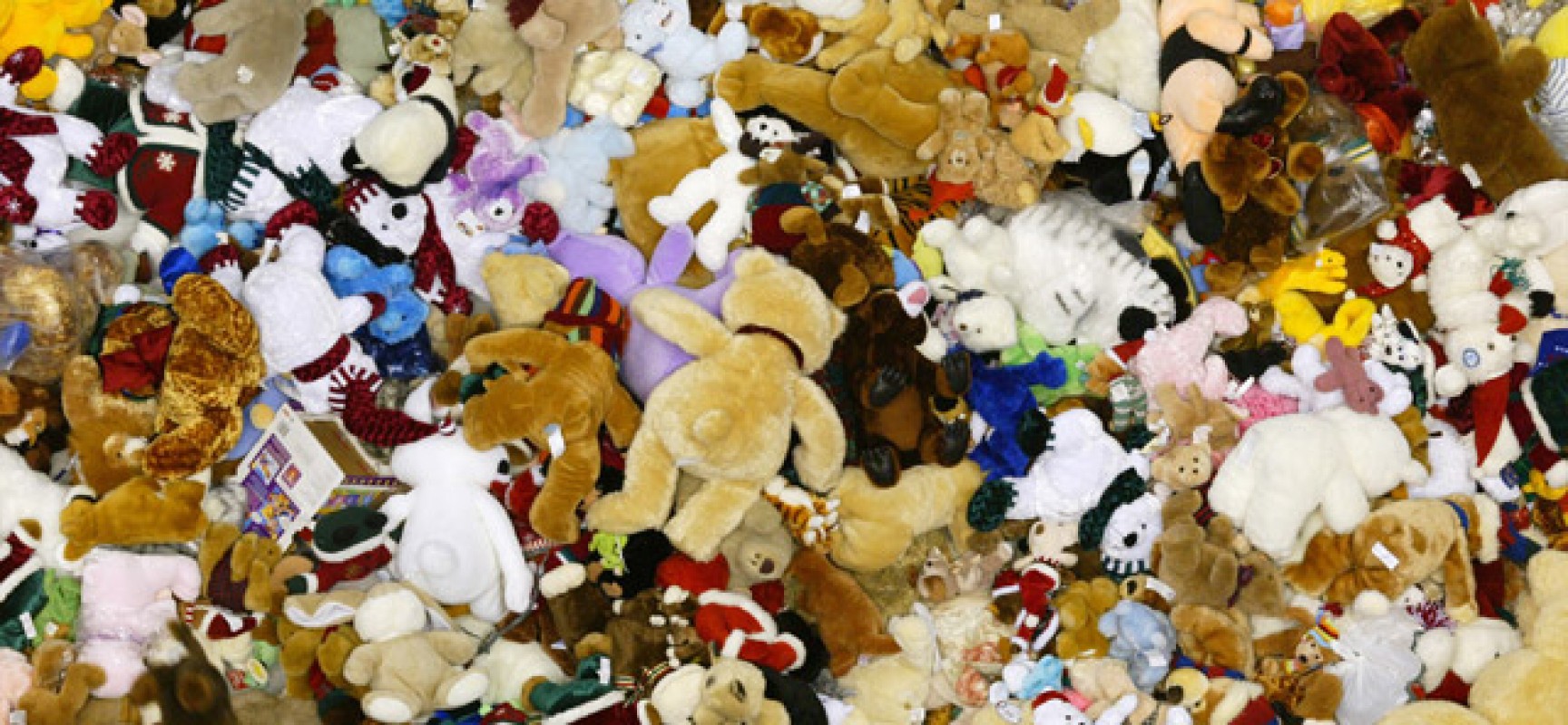 Il Teddy Bear Toss arriva a Bisceglie, l’Ambrosia basket aderisce all’iniziativa benefica