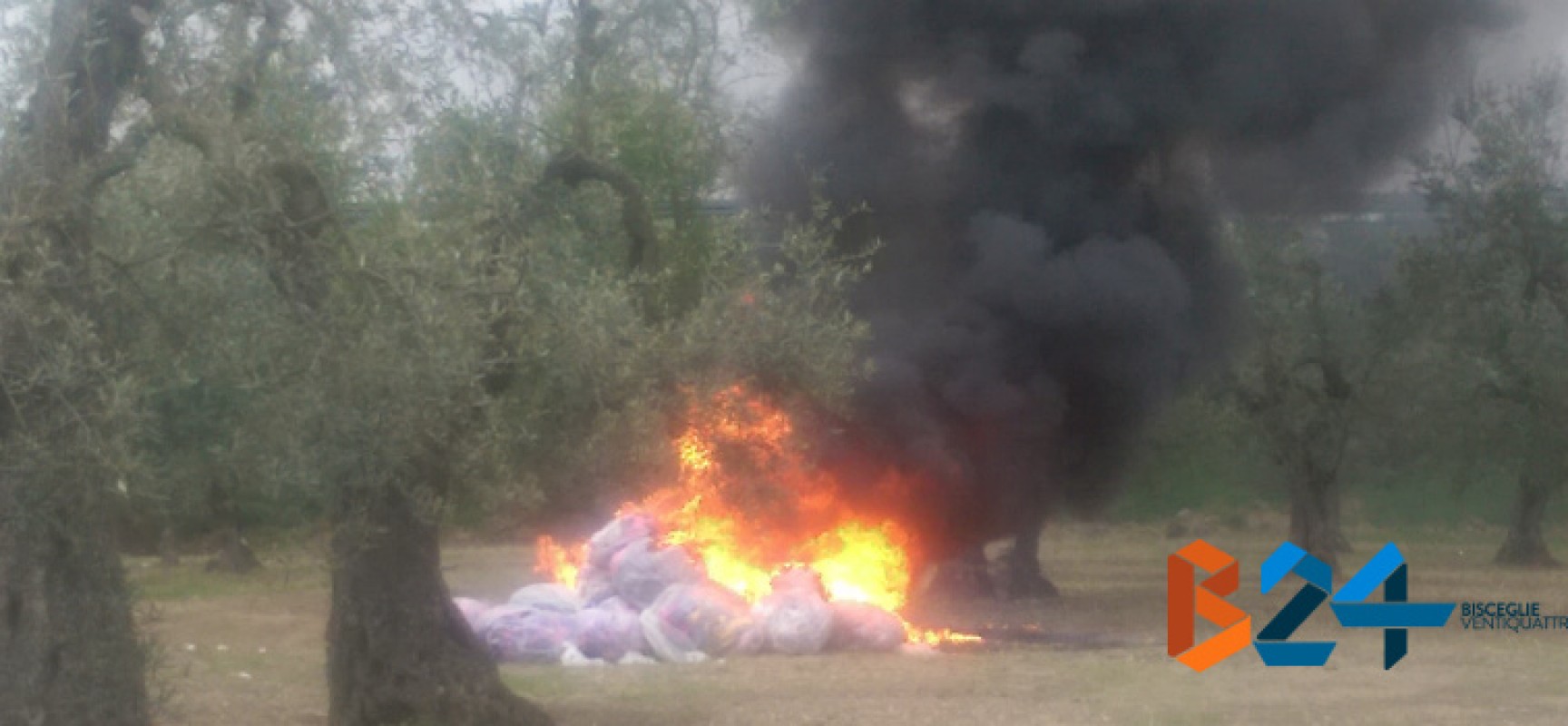 Dato alle fiamme il cumulo di rifiuti presente da settimane nell’uliveto di Strada del Carro