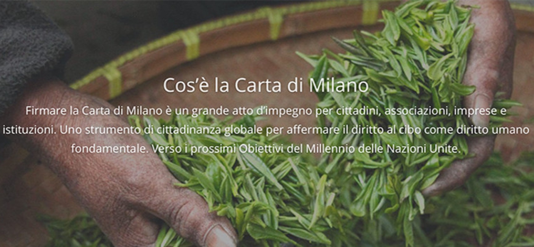 Il Comune di Bisceglie aderisce alla Carta di Milano, obiettivo combattere la fame nel mondo