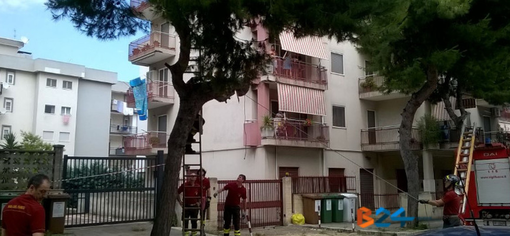 Via sac. Di Leo, si staccano rami da un albero: Vigili del Fuoco intervengono per la messa in sicurezza / FOTO