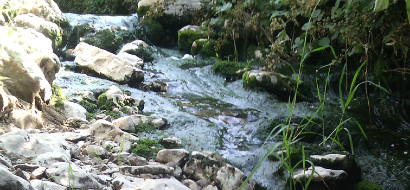 Cittadini in Movimento a 5 Stelle: “Riutilizzare acque reflue per uso agricolo”