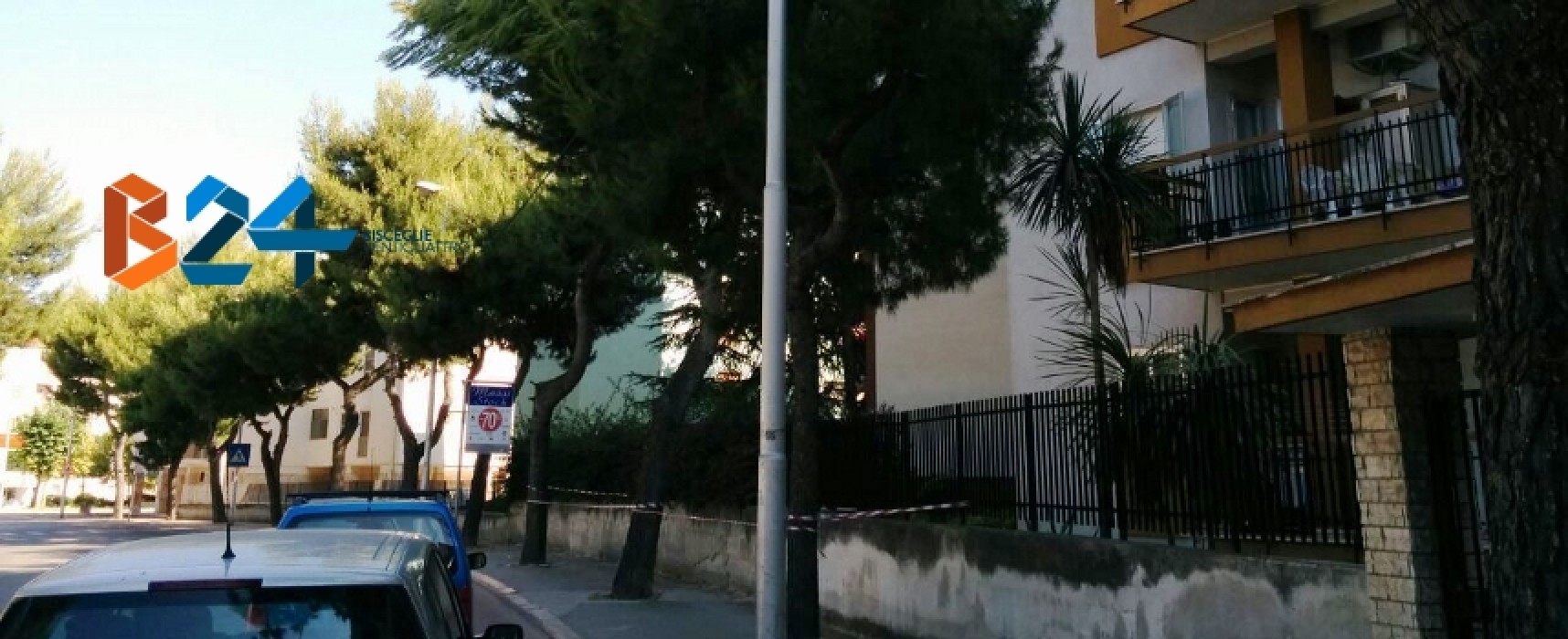 Cede grosso ramo di pino in via Di Vittorio, interviene la Polizia Municipale su nostra segnalazione/FOTO