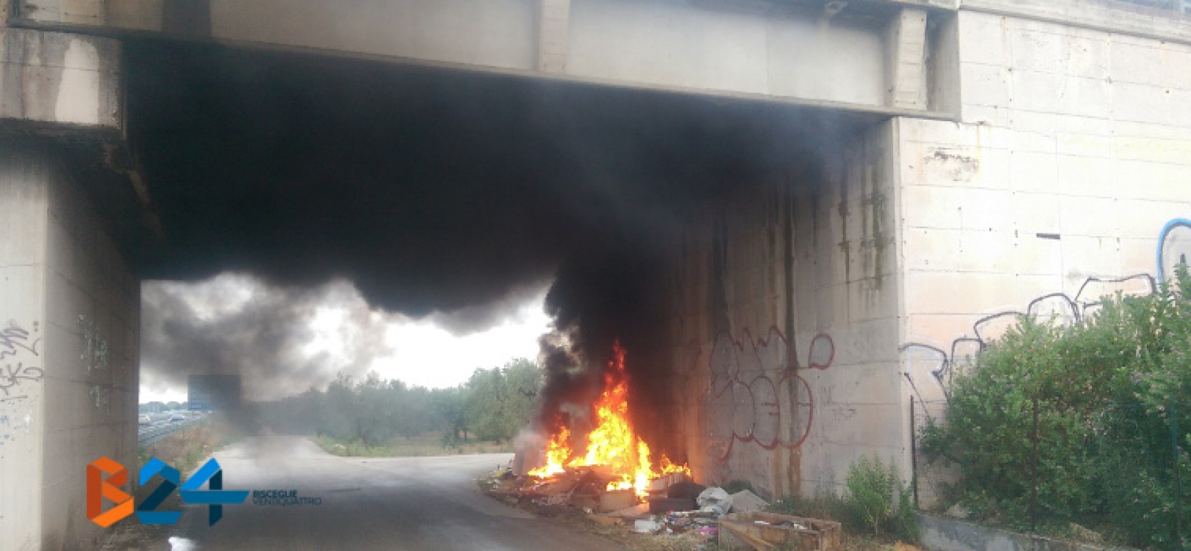 In fiamme discarica abusiva sotto il ponte di via Traversa Terlizzi, pronto intervento dell’O.E.R.