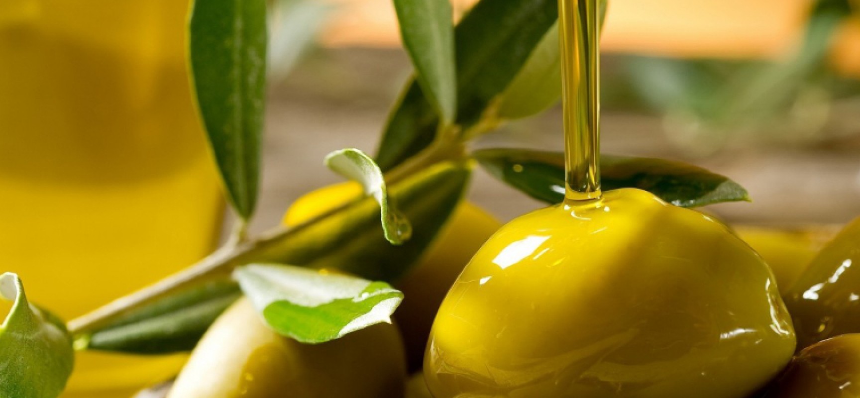 L’olio d’oliva protagonista del mercato “Dalla Terra al Mare” domani alla Centrale Ortofrutticola