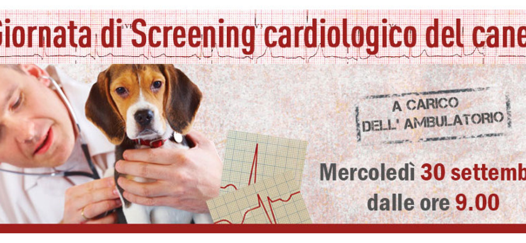 L’ambulatorio Papagni promuove a sue spese la giornata dello screening cardiologico del cane