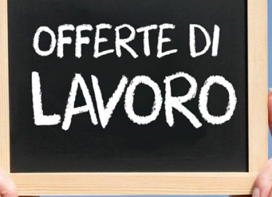 Centri per l’impiego della Bat, tutti gli annunci di lavoro: si cercano oltre 150 lavoratori