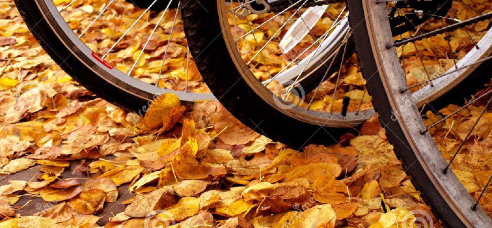 Biciliae, pedalata tra le cappelle gentilizie e la campagna. Al termine colva per tutti