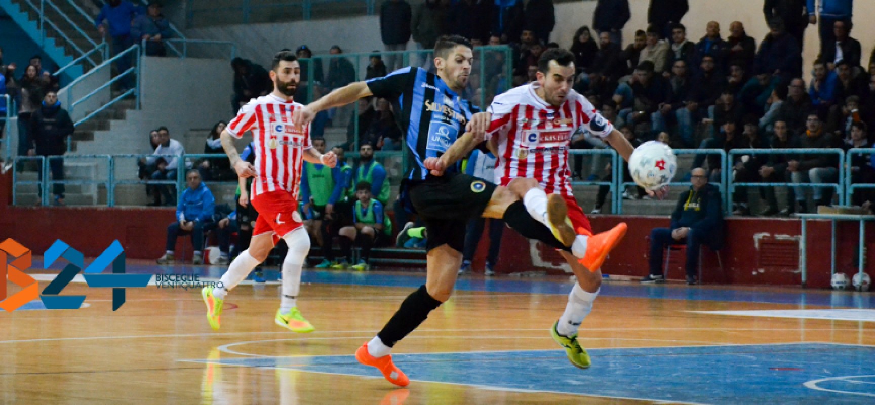 Futsal Bisceglie: ancora segno x, fermato in casa dal Cristian Barletta