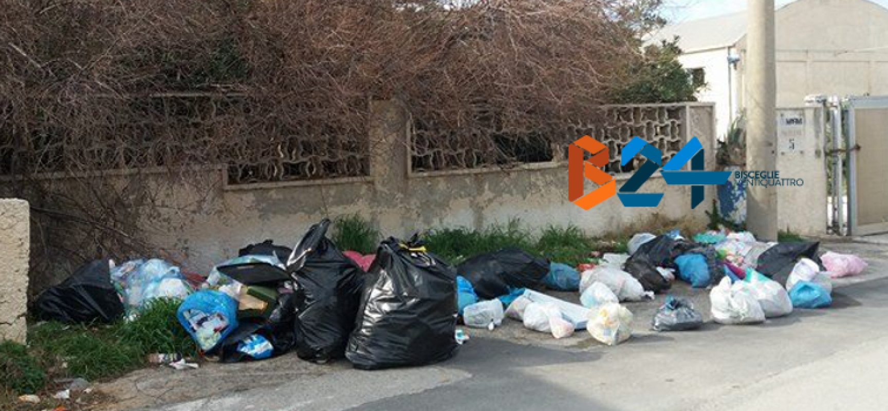 Ancora rifiuti abbandonati per strada: zona BiMarmi invasa da sacchetti di immondizia / FOTO