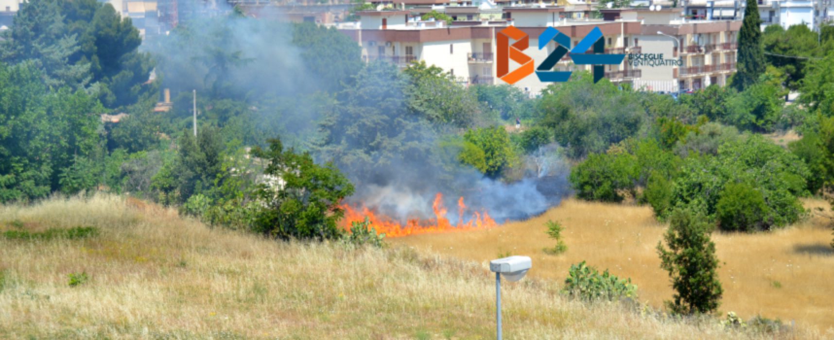 Incendio in alcuni campi del quartiere Sant’Andrea