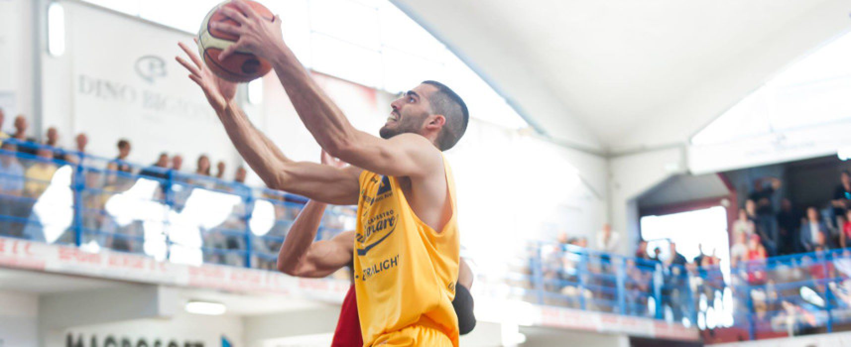 Lions Basket, arriva l’ala piccola Bedetti: nuovo roster sempre più competitivo