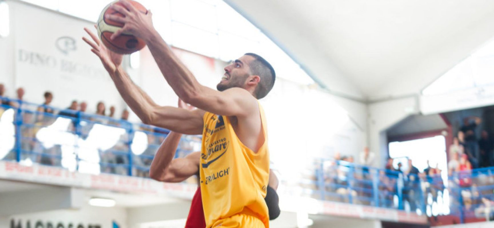 Lions Basket, arriva l’ala piccola Bedetti: nuovo roster sempre più competitivo