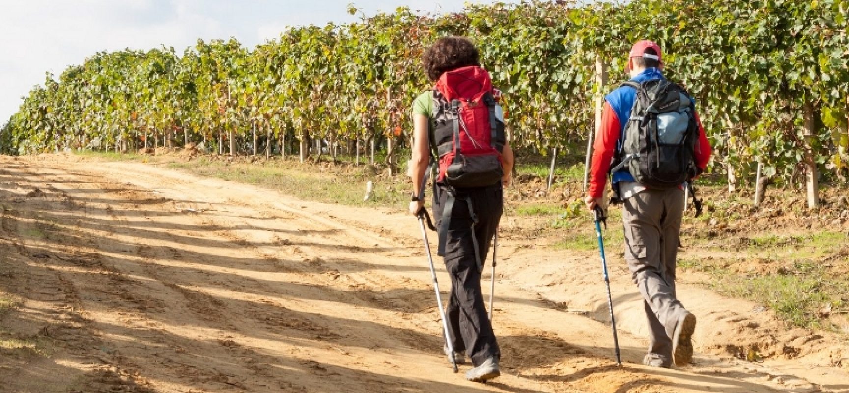 Torna “I viandanti di via Stradelle”: tre itinerari per scoprire vie e monumenti dell’agro