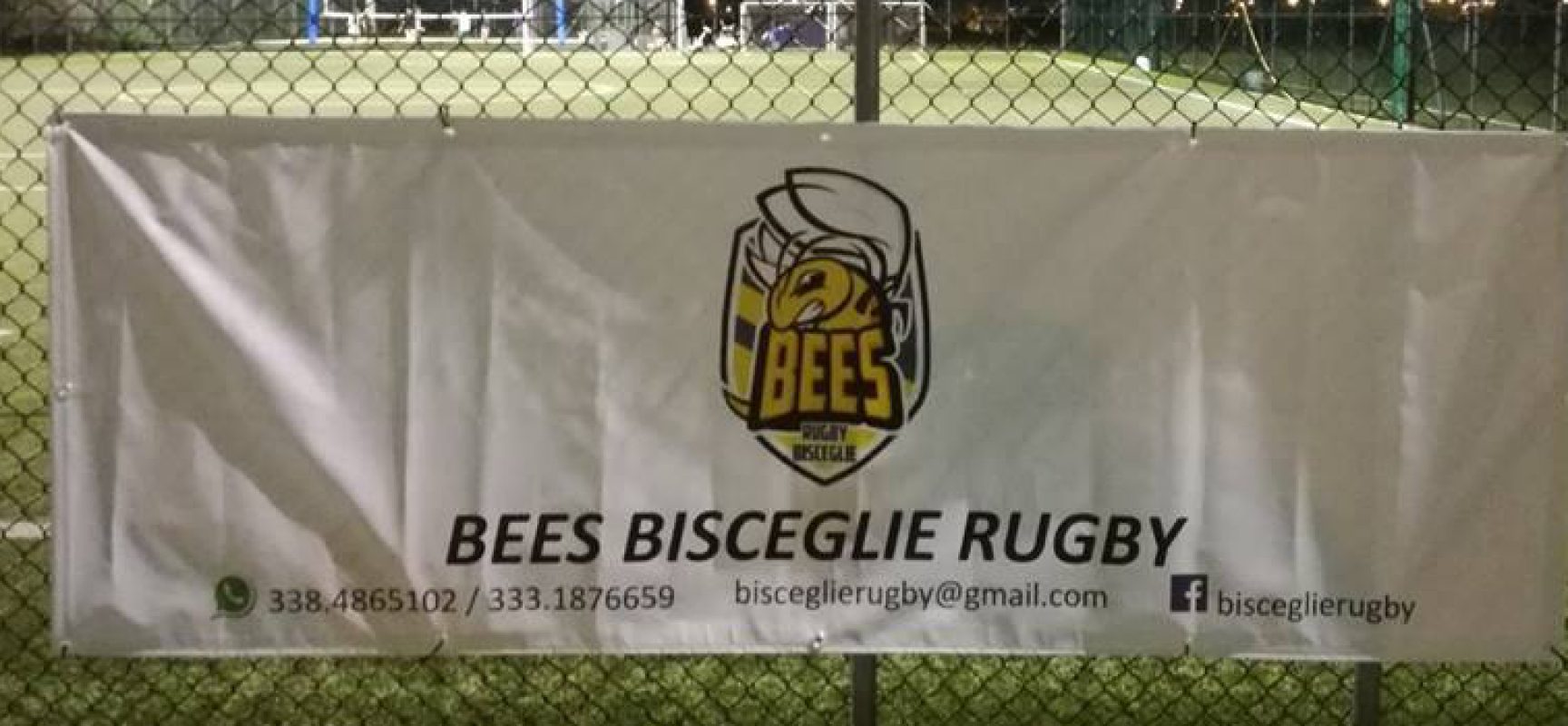 Rugby a Bisceglie: sabato torneo giovanile in casa dei Bees, lunedì convegno al II circolo