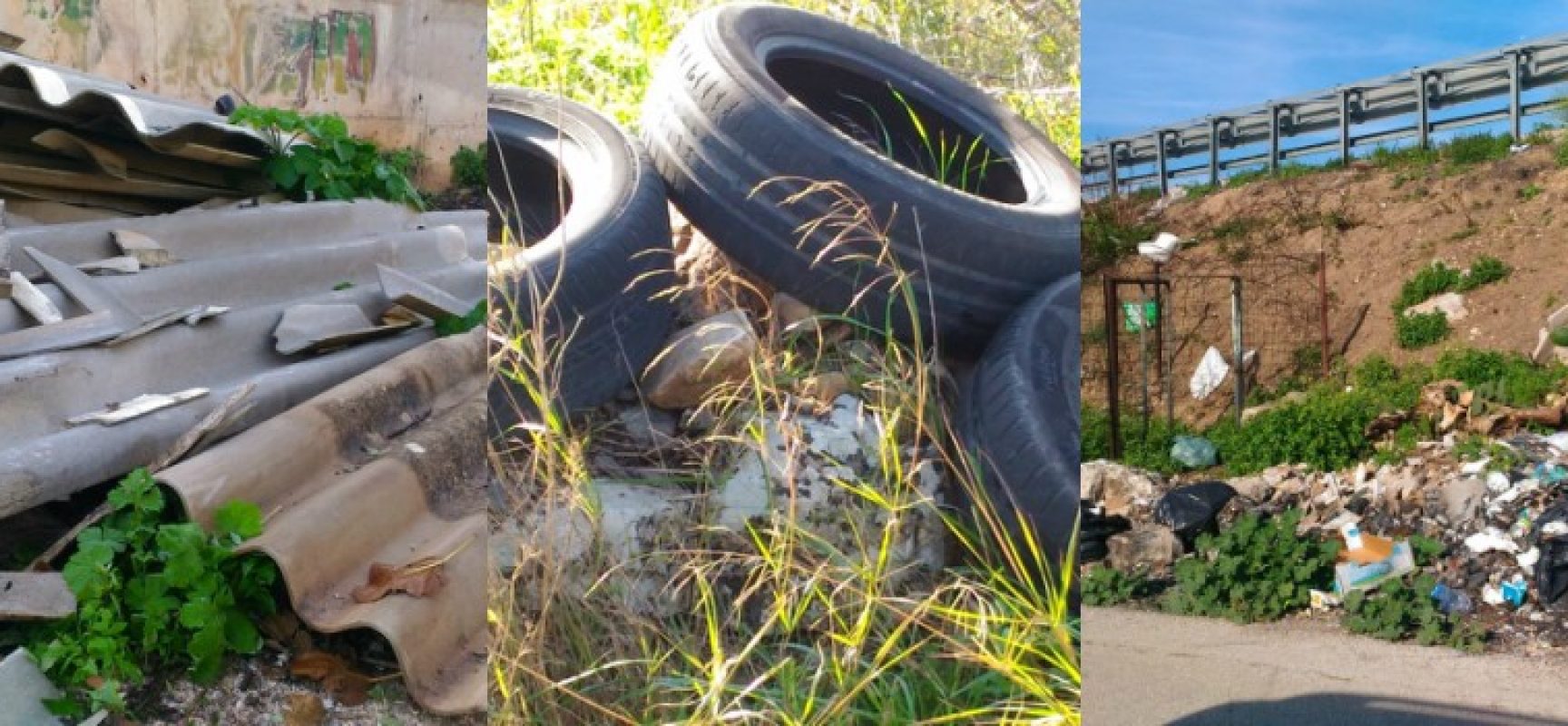 Federazione Pro Natura: “Continua l’abbandono illegale di rifiuti, c’è anche amianto” / FOTO