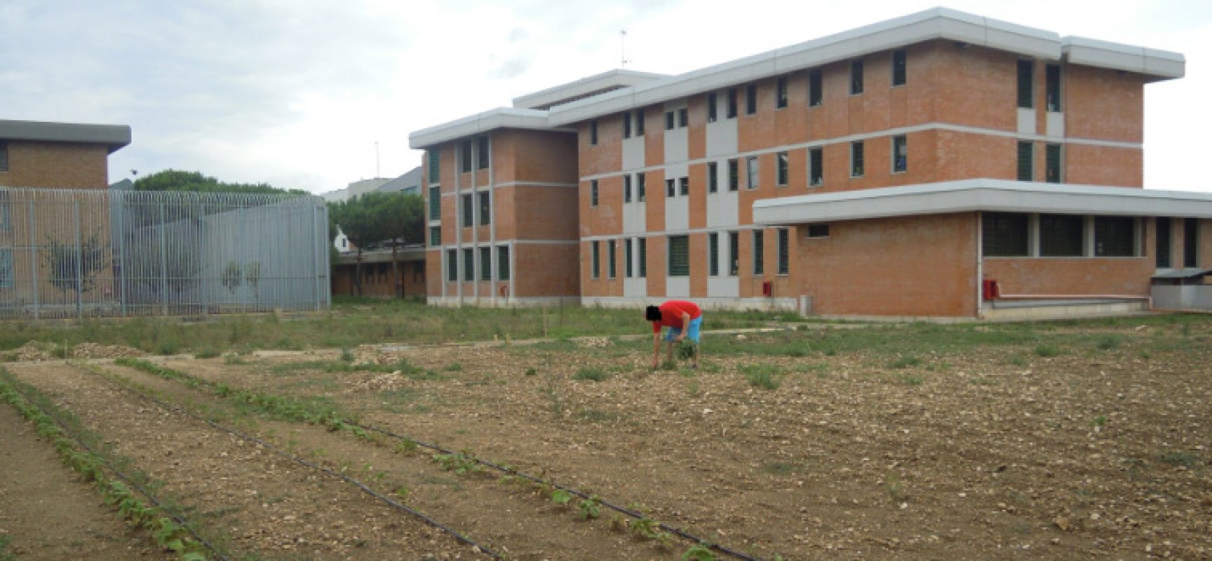 La cooperativa Irsea realizza corso di giardinaggio per i detenuti della Casa circondariale di Trani