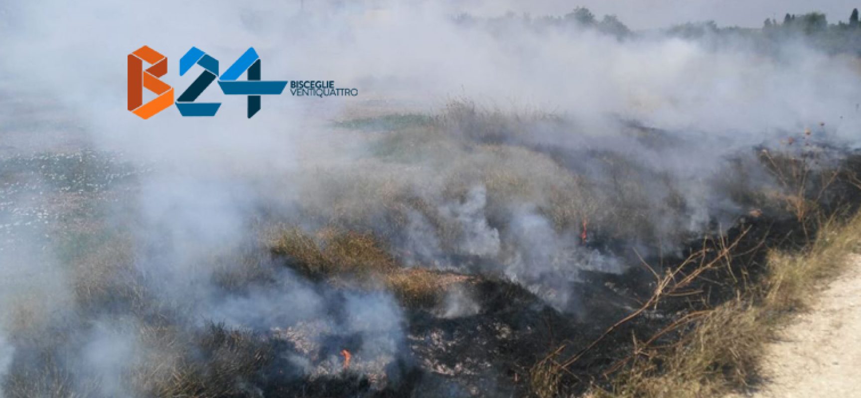 Incendio in terreno incolto in zona Crosta
