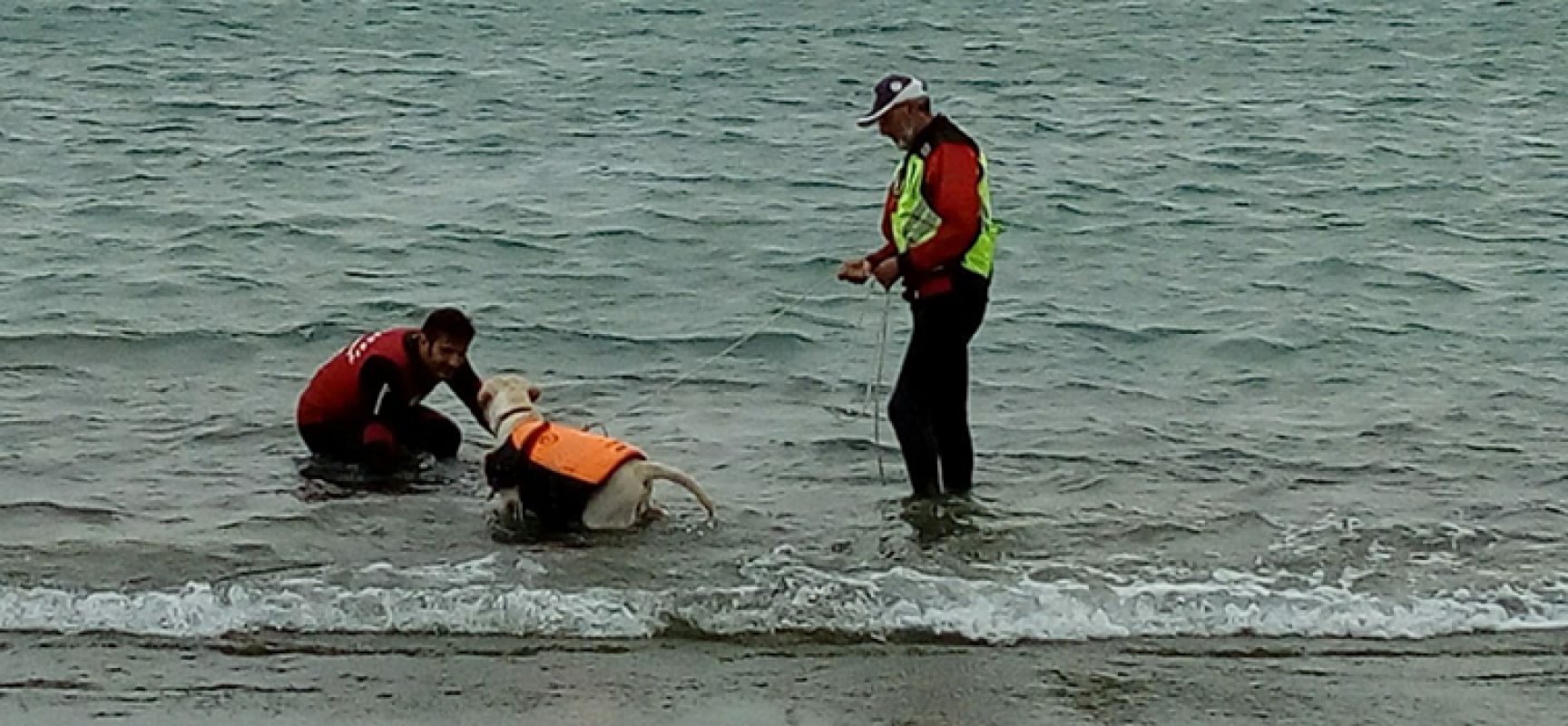 Scuola Cani Salvataggio Nautico, una mattinata con gli amici a quattro zampe