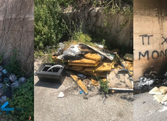 Nuove foto-trappole sul territorio di Bisceglie, Angarano: “Tolleranza zero per gli incivili”