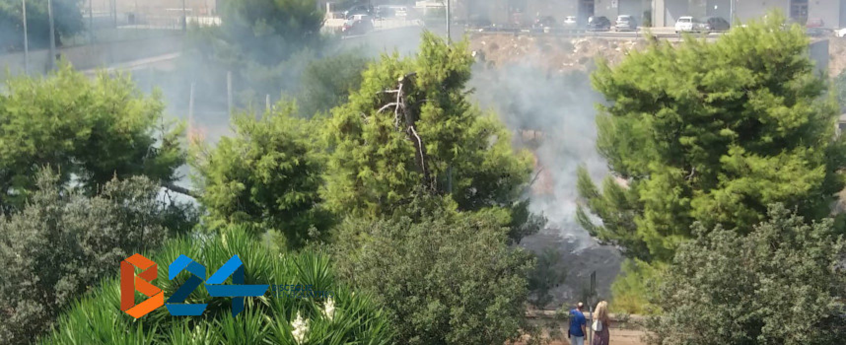 Incendio in un terreno in via Cala dell’Arciprete /VIDEO