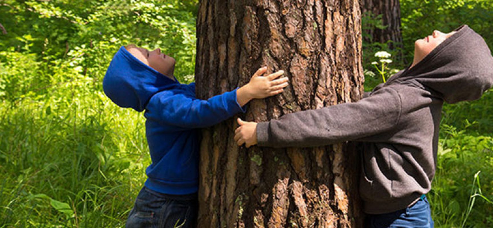 Giornata nazionale degli alberi: a Bisceglie nuove piantumazioni in diverse zone