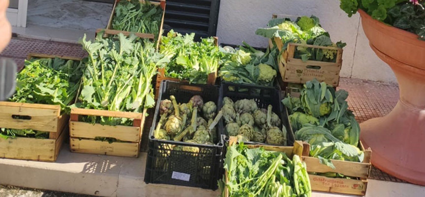 Controlli contro commercio abusivo, sequestrati prodotti agroalimentari in zona Corso Umberto