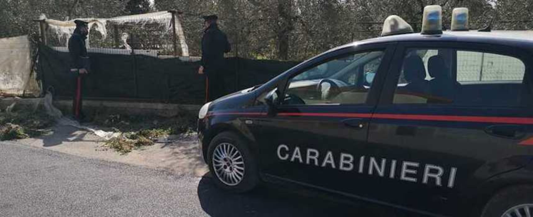 Breve inseguimento in via Ruvo: carabinieri arrestano due ragazzi per spaccio