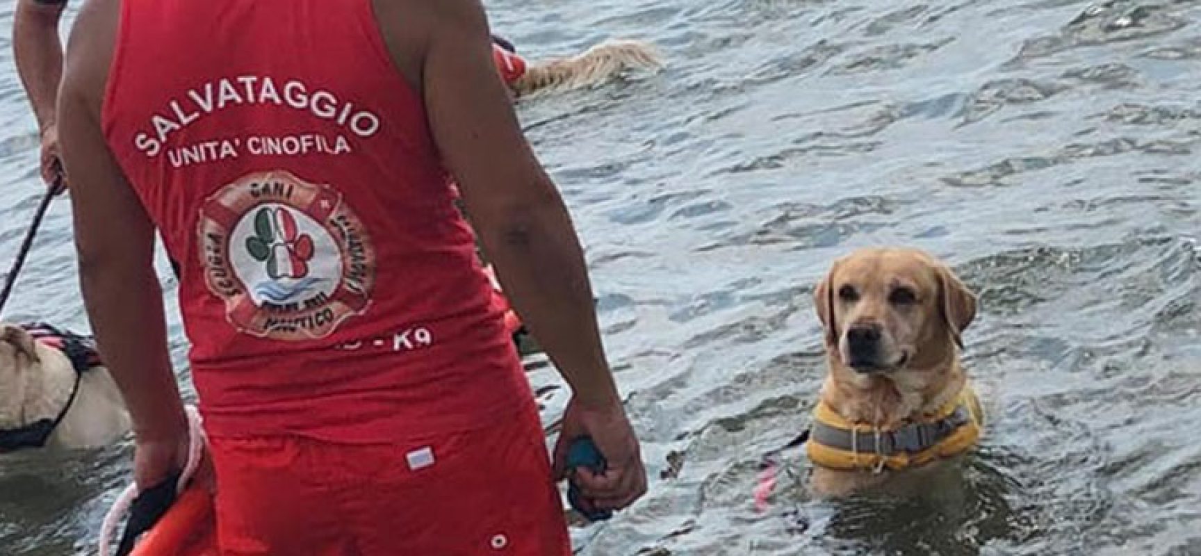 Progetto Spiagge Sicure ospita a Bisceglie la Scuola Cani Salvataggio Nautico