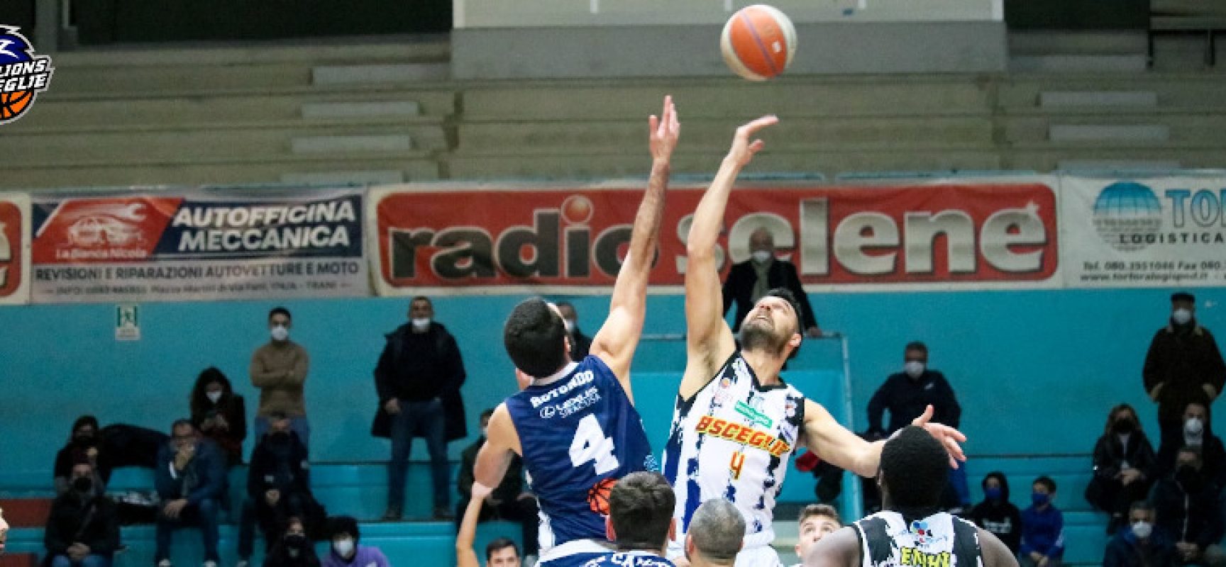 Basket, primo stop casalingo stagionale per i Lions Bisceglie