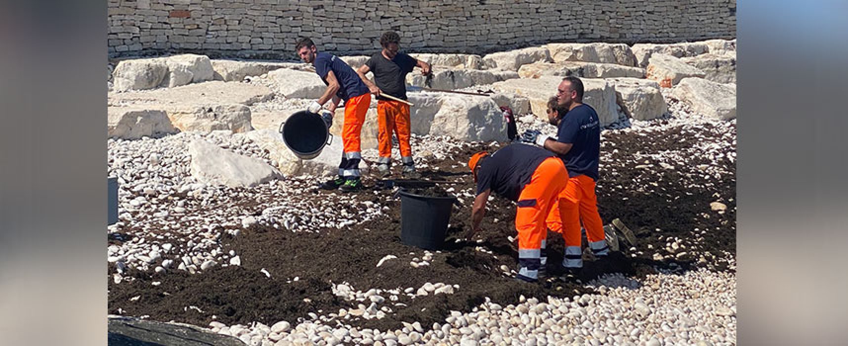 Avviata rimozione alghe da spiaggia Cagnolo, Angarano: “Rimozione regolata da nomative”