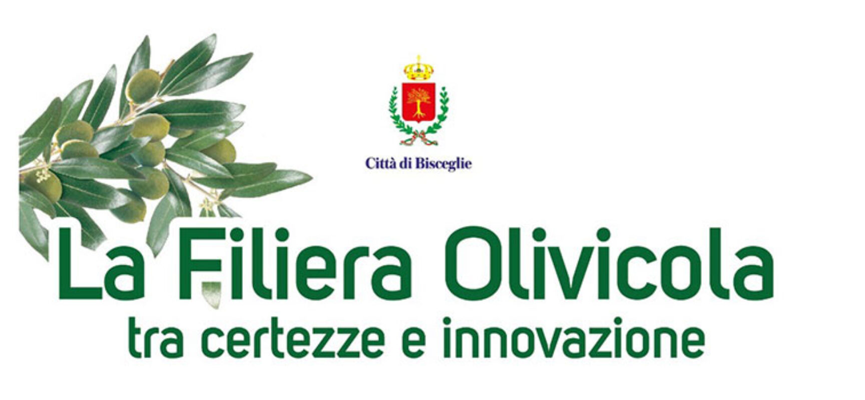 “La Filiera Olivicola, tra certezze e innovazione”, incontro a Bisceglie / PROGRAMMA