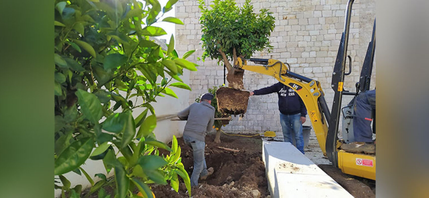 Prende forma Io_Ci_sTo! Il Giardino condiviso del CEA ZonaEffe / FOTO