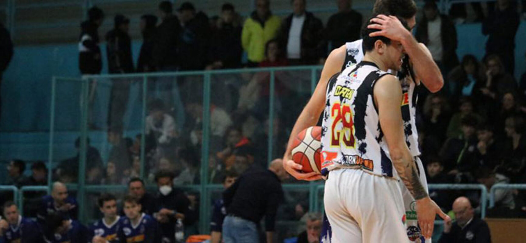 Basket, i Lions Bisceglie tornano alla vittoria contro la Virtus Cassino / CLASSIFICA
