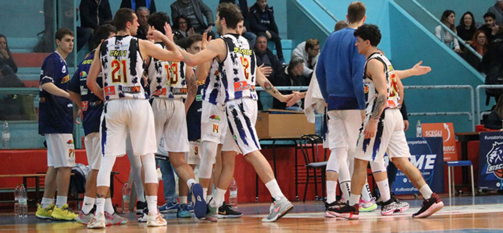 Lions Bisceglie rispettano il pronostico e superano la Virtus Pozzuoli