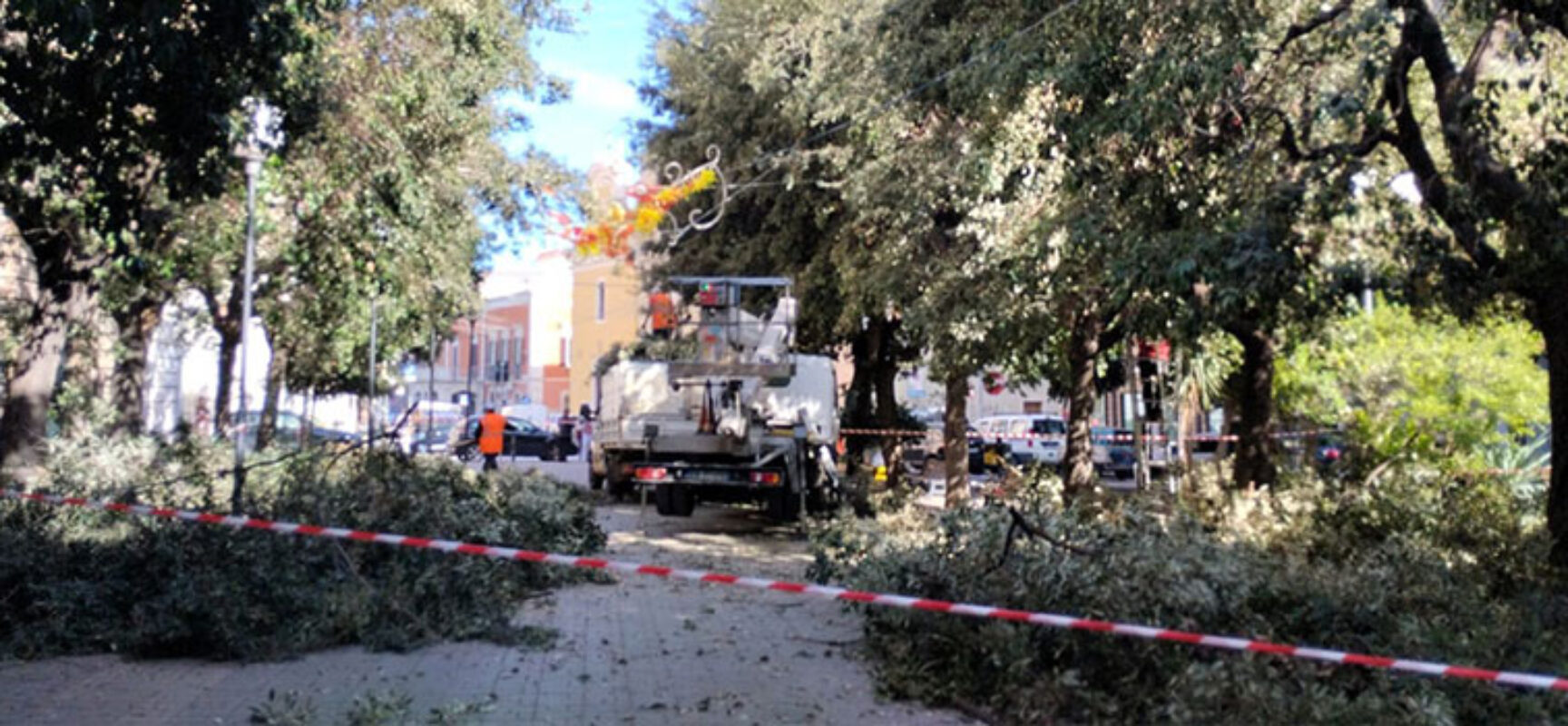 Proseguono interventi di potatura degli alberi a Bisceglie / INFO e DETTAGLI