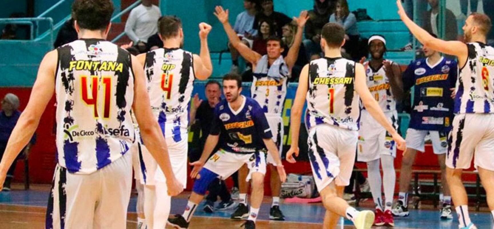 Playout, Lions Bisceglie ancora vittoriosi contro Vicenza