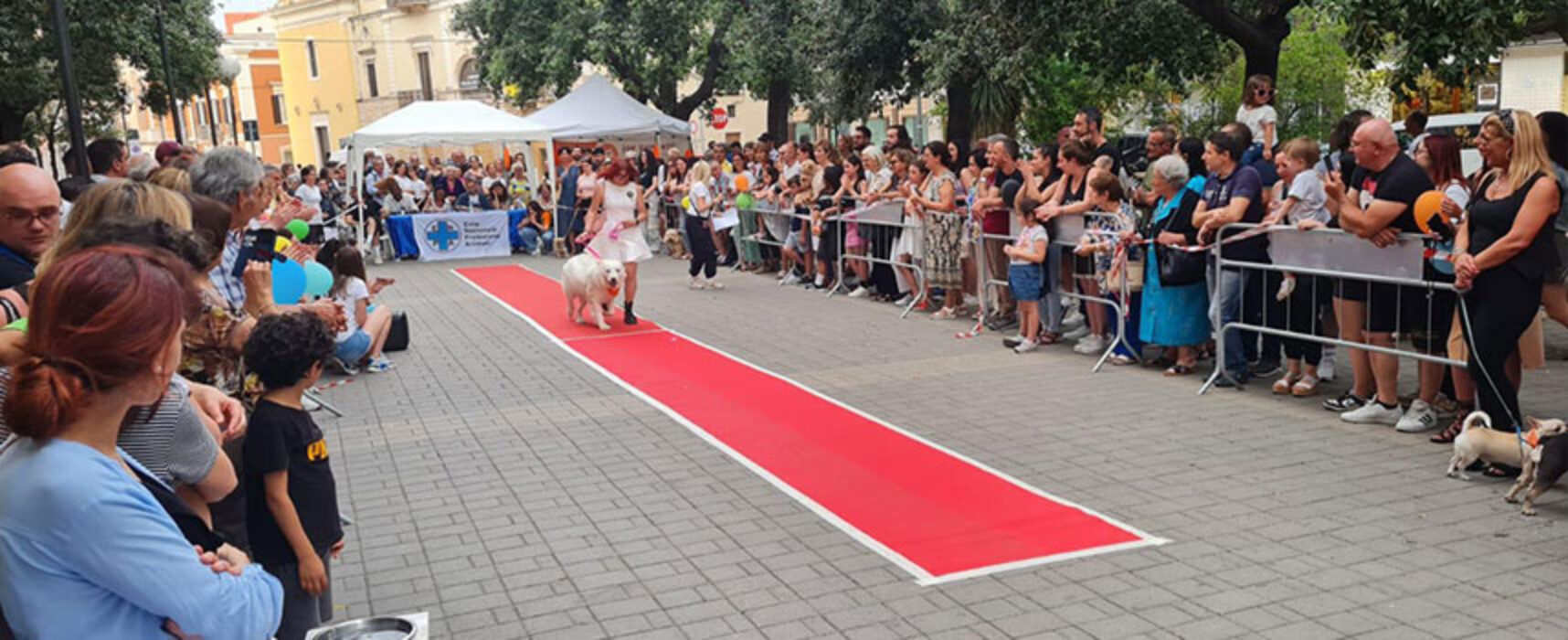 Successo di pubblico per la prima sfilata canina organizzata da Enpa Bisceglie