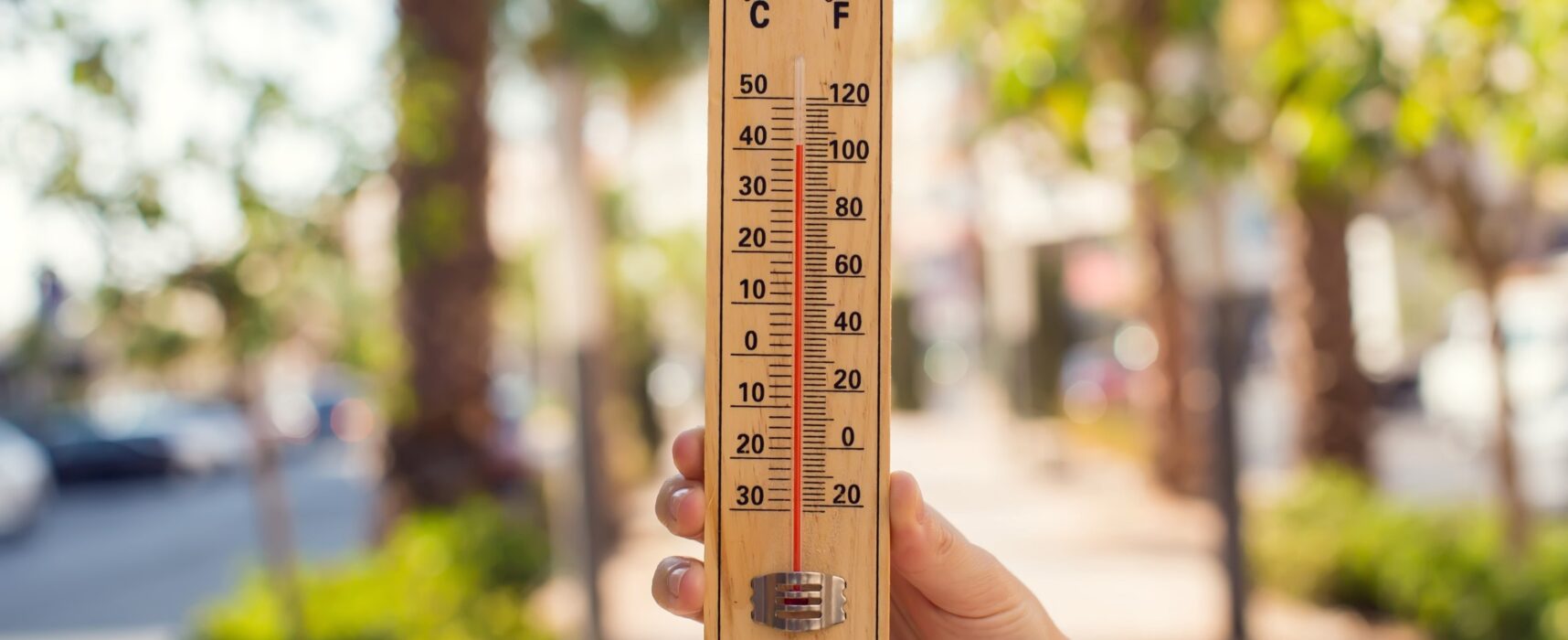 Protezione Civile Puglia, ondate di calore fino a 37° nei prossimi giorni / DETTAGLI