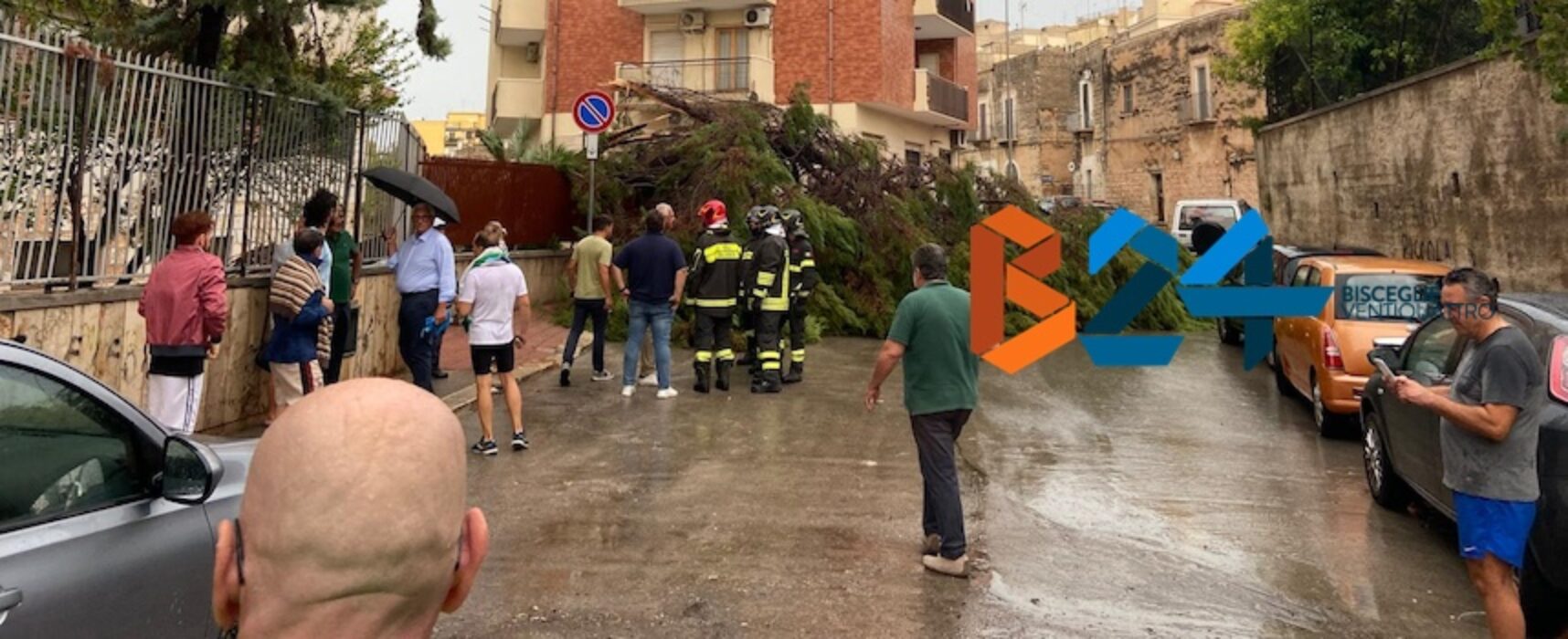 Maltempo crea disagio in città: albero cade in via Pozzo Marrone