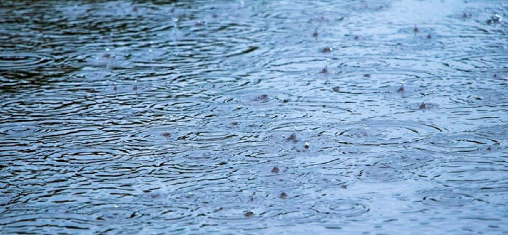 Allerta meteo arancione sul territorio di Bisceglie a partire da questa notte