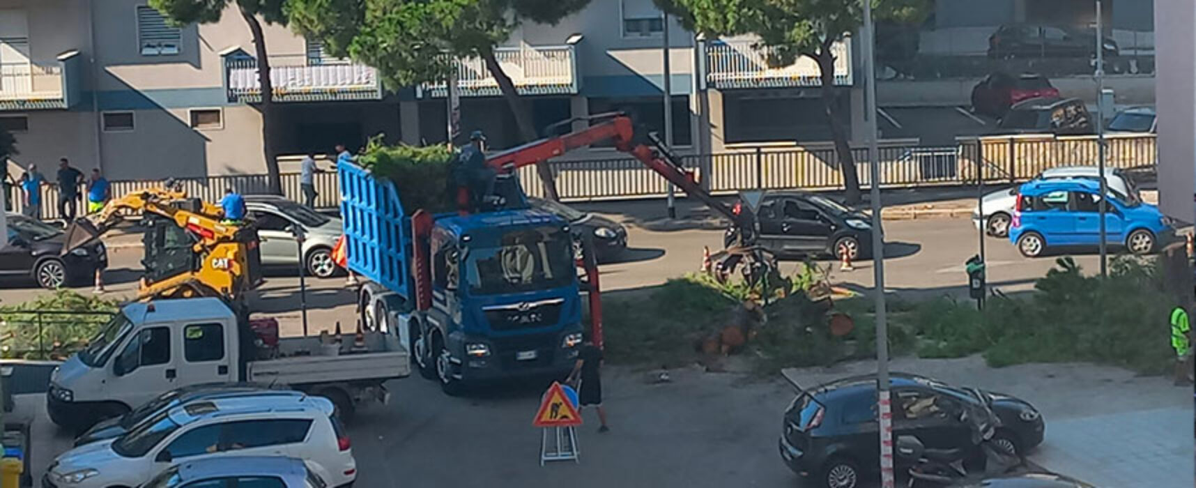 Mobilitazione per difendere il verde urbano, iniziativa di Libera il Futuro e Pro Natura