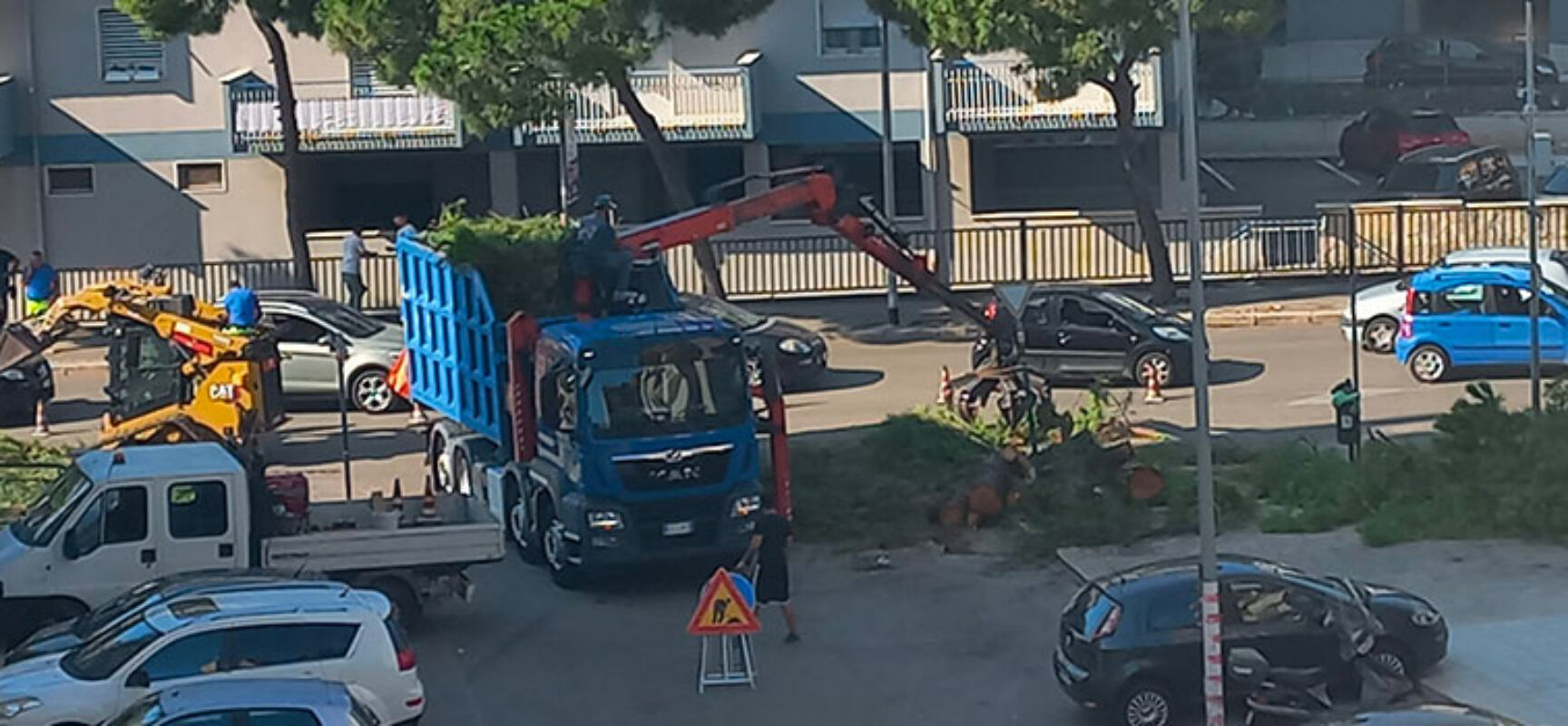 Mobilitazione per difendere il verde urbano, iniziativa di Libera il Futuro e Pro Natura